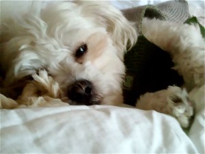 56080_10200150624795242_2044178698_o